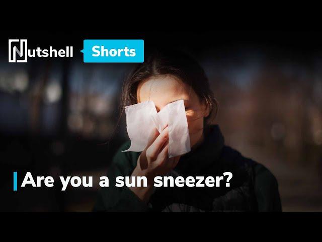 Does sunlight make you sneeze? | ACHOO Syndrome | Ft. @RaunakRamteke | #shorts | Nutshell