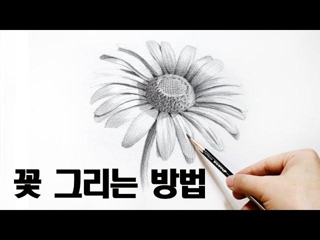 초보자를 위한 진짜 쉽게 꽃 그리는 방법 / 기초소묘, 연필드로잉, 꽃스케치 Basic pencil drawing
