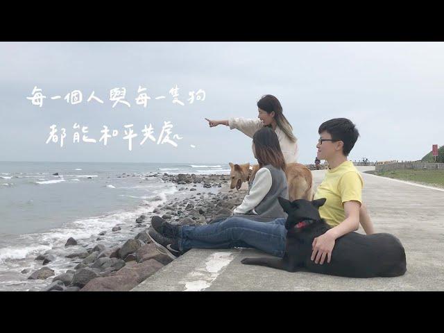 浪犬博士-狗兒家庭教育學院-品牌介紹