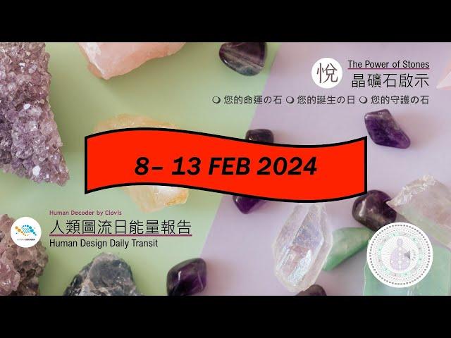 人類圖流日能量報告 · Human Design Daily Transit：Gate 49 （08/02/2024 - 13/02/2024）