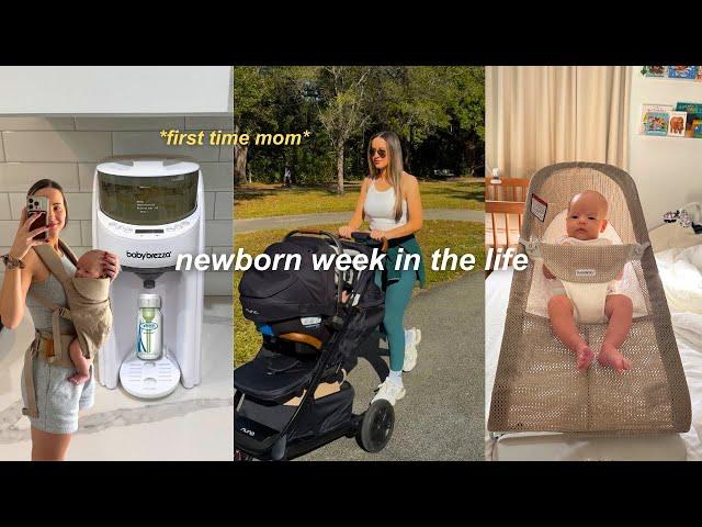 *8 WEEK UPDATE* ‍ witching hour, baby brezza review, getting my cycle, new wildbird carrier!