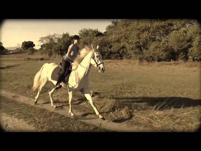 Kande Horse stables: The Film