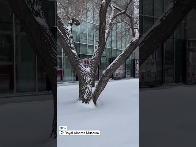 Royal Alberta Museum in Snow – Edmonton Walking Tour 2024