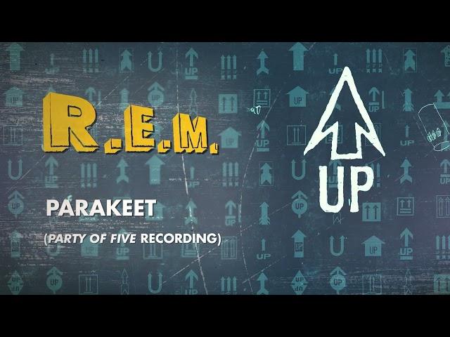 R.E.M. - Parakeet ("Party Of Five" Recording) - Official Visualizer / Up Deluxe Edition