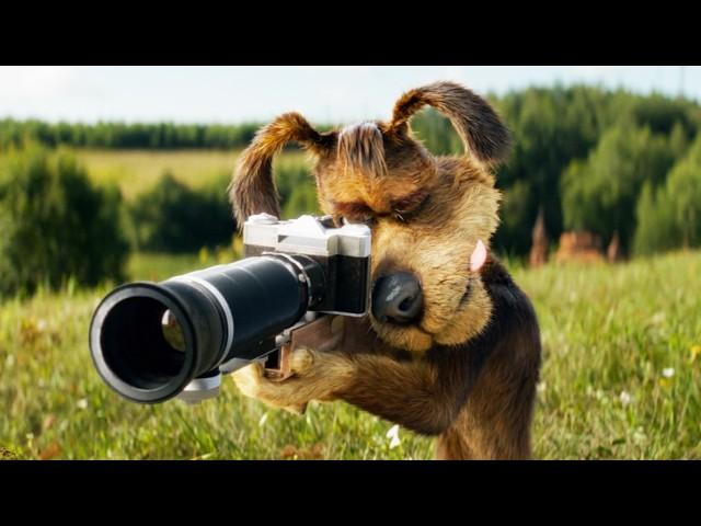 PROSTOKVASHINO - Official Trailer (2026) Family Animation Movie