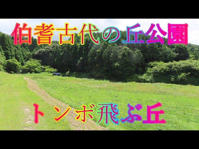 梅雨の暑い日 6月29日 土曜 曇のち雨 木陰の散策 伯耆古代の丘公園 トンボ飛ぶ丘 日本 鳥取県米子市淀江町福岡 上淀廃寺跡 @WalkingYoshi