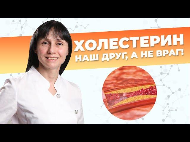 Холестерин - наш друг, а не враг! Статины: пить или не пить?