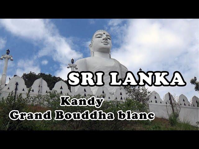 SRI LANKA : Kandy - Grand Bouddha blanc