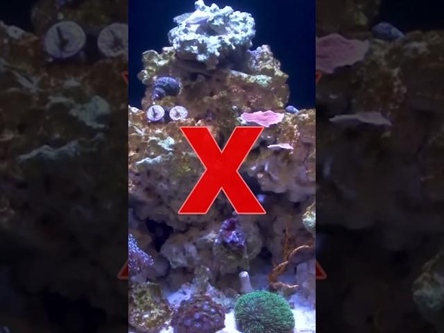 Don’t Miss These Reef Tank Aquascaping Tips! #brstv