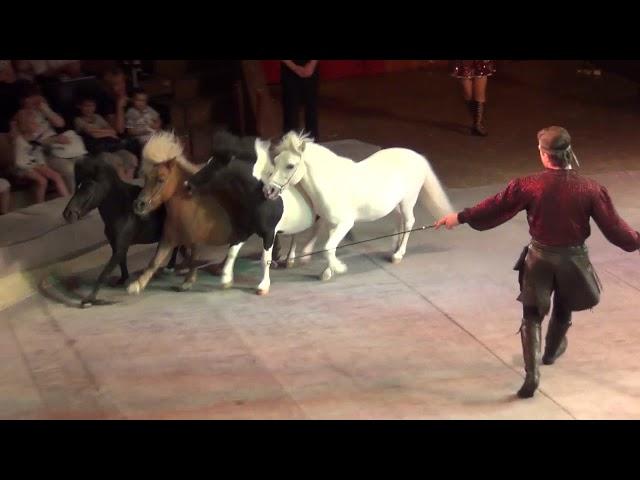 Olga Andrey Spektor pony
