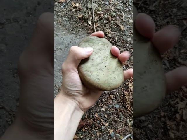 Attempt crush stone with hand day 40 #shorts #sports #workout #calisthenics #stone