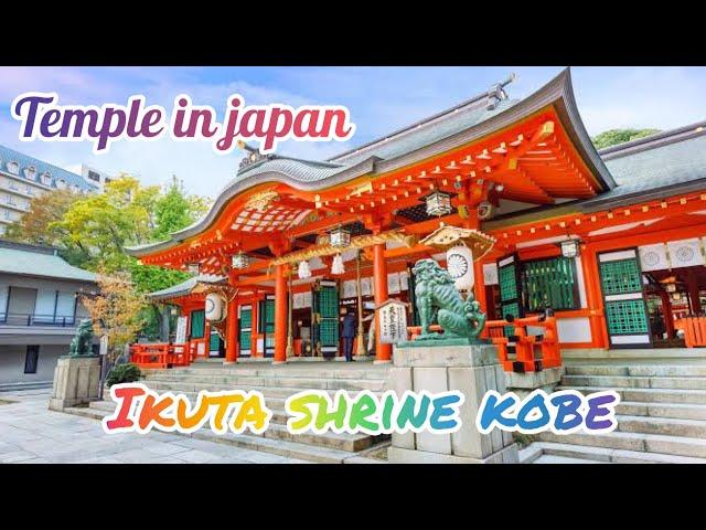 Japan Temple | Ikuta Shrine | Murus Travel World