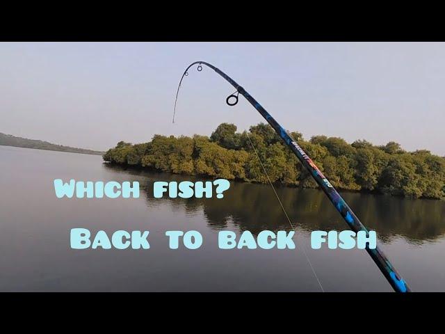 Fishing In Goa | River Fishing | #fishingvideo #fishinglife