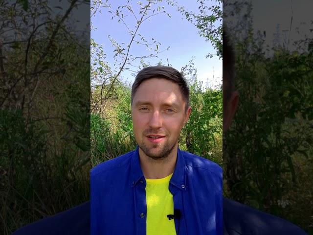 Классический рецепт супа - харчо