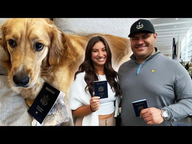 Groom Gets New Passport After Dog Eats the Original