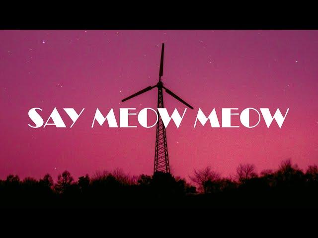 Celine - Say Meow Meow (Lyric Video)