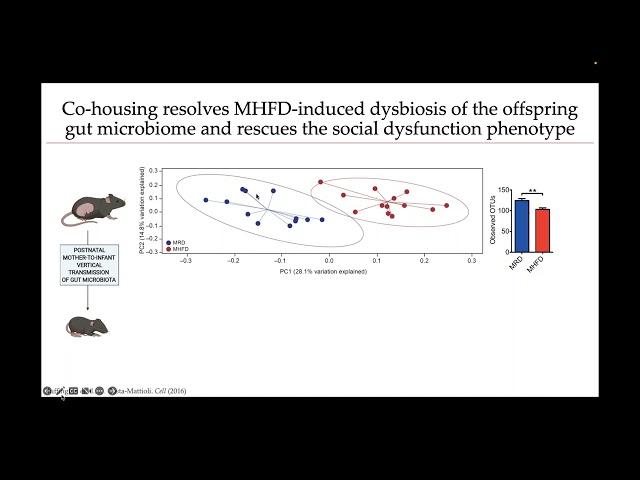 Therapeutic Targeting of the Microbiome for Neurodevelopmental Disorders