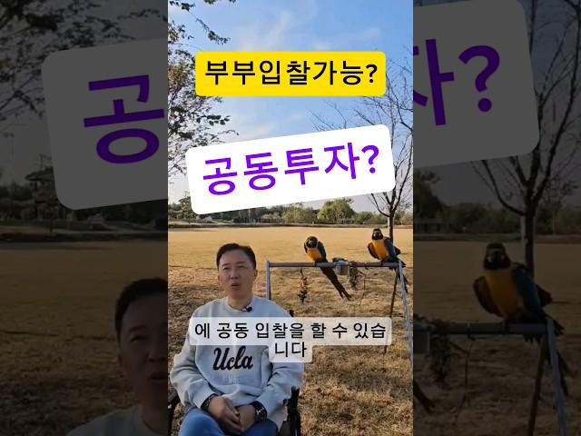 경매공투하는법?#부동산경매강의 #부동산경매 #경매기초 #경매초보 #경제공부#부동산#입찰#낙찰#부동산100문100답#shorts#경매강의