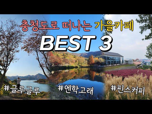 [가을카페 BEST3] 충청도로 떠나는 가을 내돈내산 추천 카페