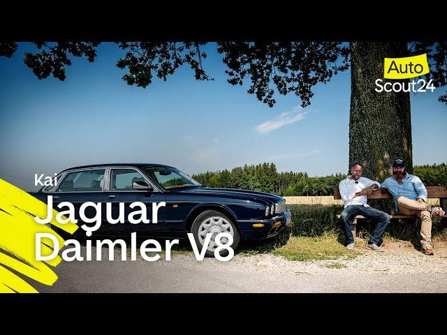 Jaguar Daimler V8: Alles andere als ein Straßenkater.