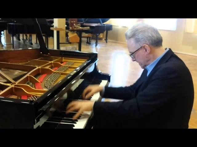 Wie klingt ein Steinway-Flügel für 150.000 Euro?