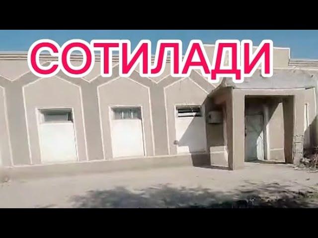 К.Р ТУРТКУЛЬ ШАХРИНДА БИНО СОТИЛАДИ