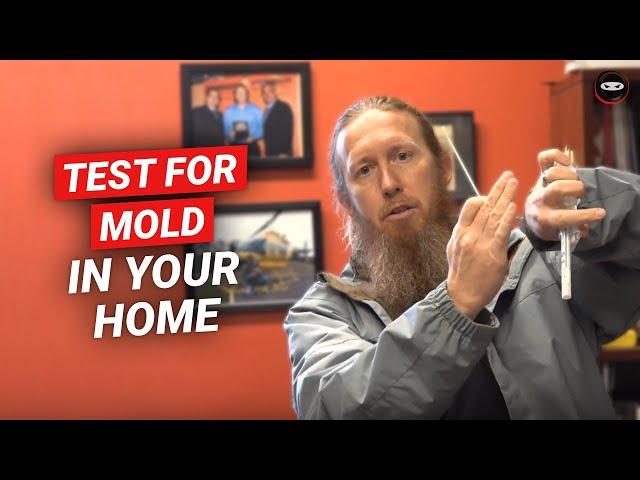 How To Test For Mold In Your Home | Best DIY Mold Test Kit to Use | Mold Testing