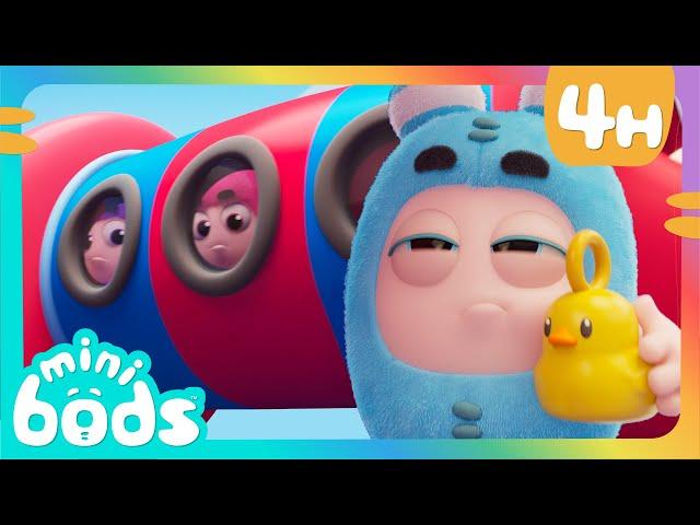 What Are They Up To Now! | Minibods | Preschool Cartoons for Toddlers