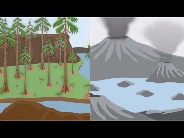 How did plants change our planet? | California Academy of Sciences