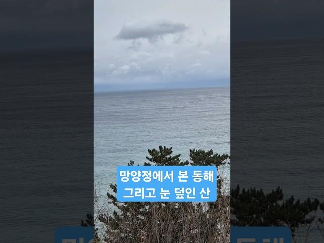 왕족이네 가족여행 망양정에서 바라 본 동해바다와 눈덮인 산 #경이로운왕족들 #제이라로비 #방양정 #울진여행 #관동별곡