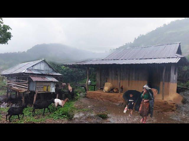 Mountain Village Life in Heavy Rain | Walk in Rainy Day | Explore My Local Village