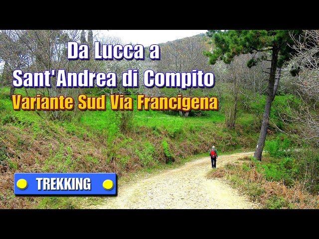 TREKKING: Da Lucca a Sant'Andrea di Compito - Variante Sud Via Francigena - di Sergio Colombini