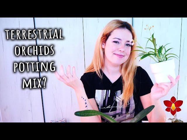 What potting mix do we use with terrestrial Orchids?