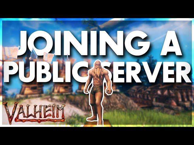 I Joined A Public Server In Valheim