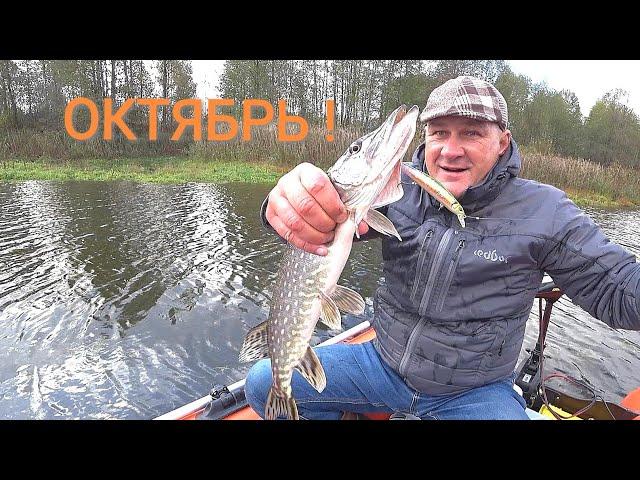 Рыбалка на спиннинг || Ловля щуки в октябре.