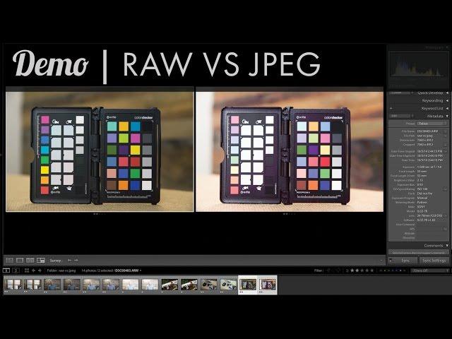 Demo - Raw vs Jpeg - Which should you use?
