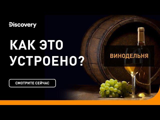 Винодельня | Как это устроено | Discovery