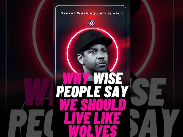 Why Wise People Say We Should Live Like Wolves #WolfMentality #LifeLessons #StrengthAndLoyalty #fact