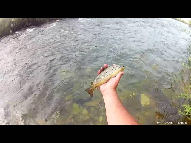 SOKOL ASENOVGRAD the art of trout fishing