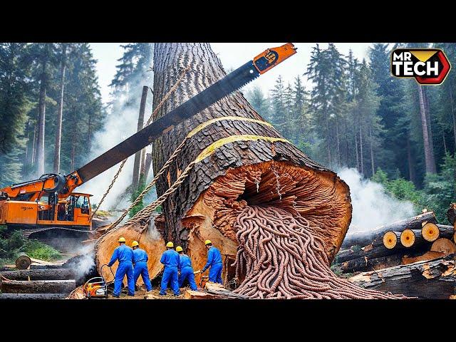 Extreme Dangerous Fastest Big Chainsaw Cutting Tree Machines | Monster Stump Removal Excavator #62