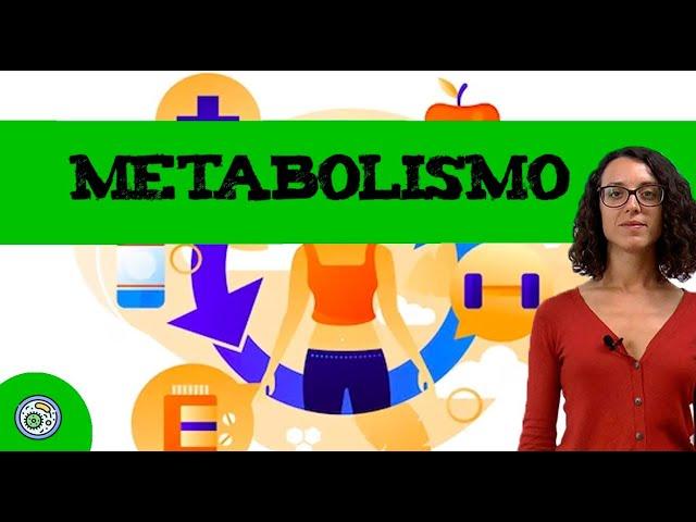 Metabolismo 🩺 Ejercicios 2022 (B3)