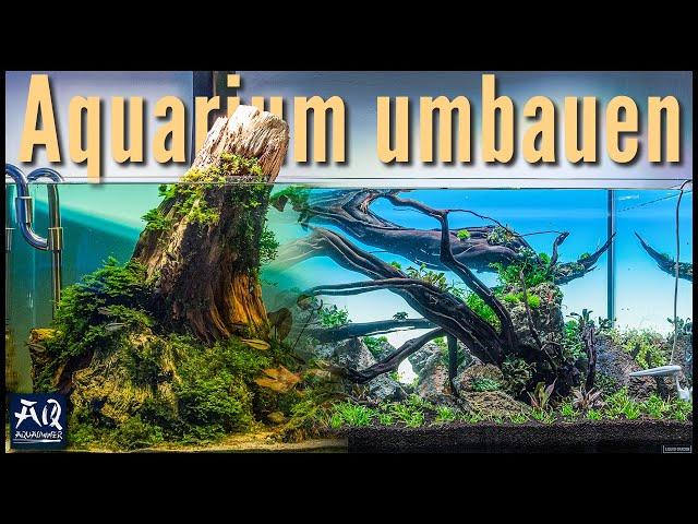 Aquarium komplett umbauen (vom Biotop zum Aquascape) | AquaOwner