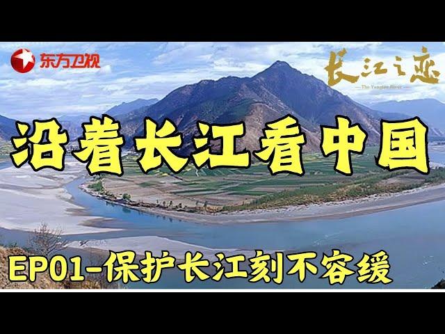 沿着长江看中国: 在通天河畔, 70岁老人用半辈子的时间种下了27000棵白杨树, 保护长江沿岸水土 #长江之恋 EP01｜FULL