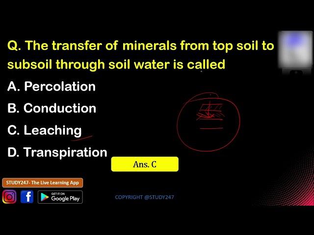 Indian Geography - Soil | Topic Wise Geography MCQs | JRBT, T-TET, TPSC | STUDY247