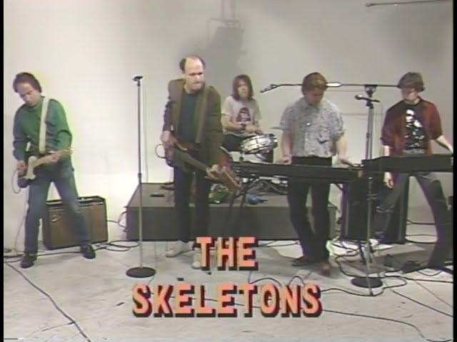 The Skeletons -- on Art Fein's Poker Party