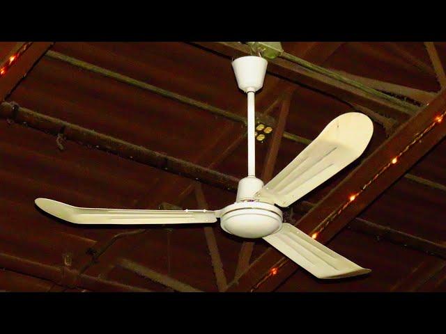 Ceiling Fans at the Brat Stop