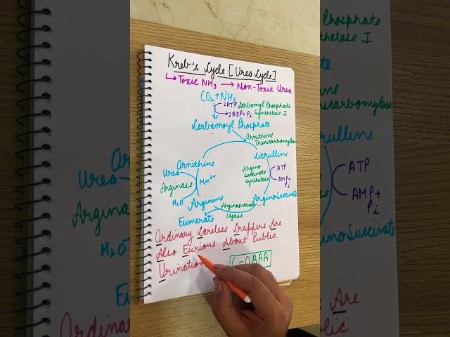 Krebs Cycle in just 1 Minute |BackbenchersMed | Biochemistry