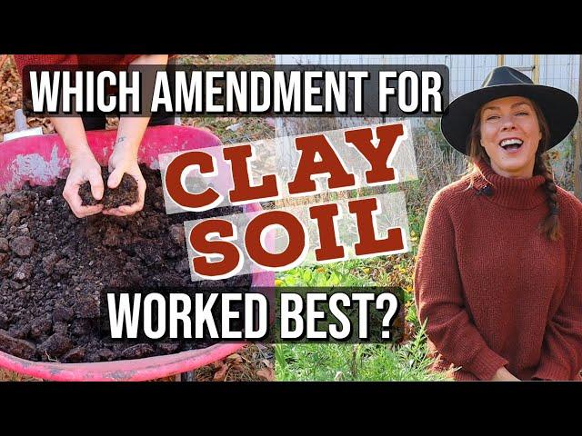 Which Clay Soil Amendment is Best? PART 2