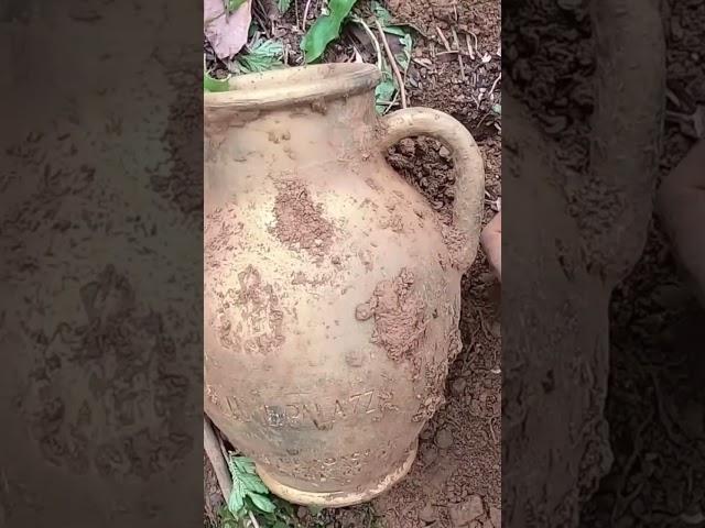 this jar is full of Ancient golden coins#treasure #gold #shorts