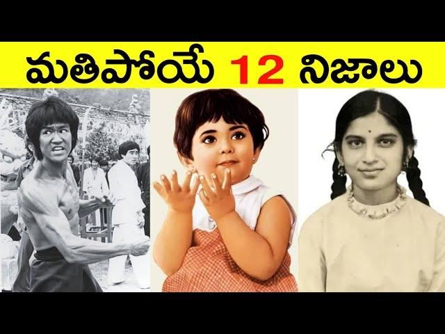 Top 12 Facts In Telugu | Amazing & Unknown Facts | Interesting Facts In Telugu | Ep - 36